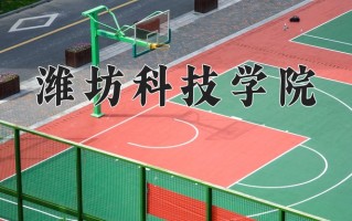 2025年潍坊科技学院在四川计划招生人数（附学费及专业录取分)
