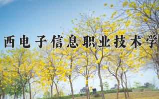 2025年陕西电子信息职业技术学院在四川计划招生人数（附学费及专业录取分)