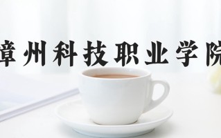 2025年漳州科技职业学院在河南计划招生人数（附学费及专业录取分)