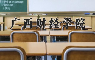 2025年广西财经学院在四川计划招生人数（附学费及专业录取分)