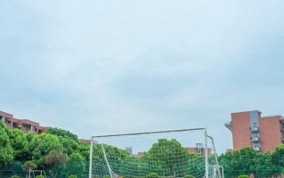 2025广西艺考统考成绩查询时间及入口：https://www.gxeea.cn/