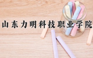 2025年山东力明科技职业学院在河南计划招生人数（附学费及专业录取分)