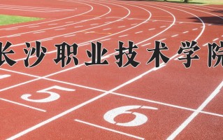 2025年长沙职业技术学院在河北计划招生人数（附学费及专业录取分)