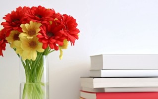 2024年广州华立学院在广东计划招生人数（附学费及专业录取分）