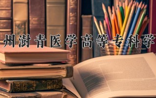 2025年郑州澍青医学高等专科学校在新疆计划招生人数（附学费及专业录取分)