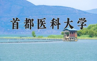 2025年首都医科大学在河南计划招生人数（附学费及专业录取分)