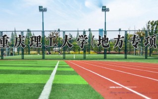 2025年重庆理工大学(地方专项)在重庆计划招生人数（附学费及专业录取分)