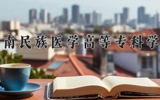 2024年黔南民族医学高等专科学校录取分数线，宁夏最低345分
