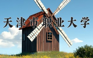 2025年天津市职业大学在河南计划招生人数（附学费及专业录取分)