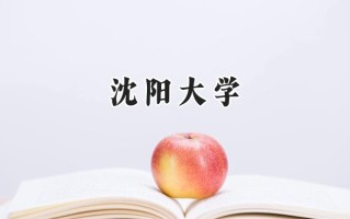 沈阳大学2024在山东录取分数线是多少？最低486分/最高523分