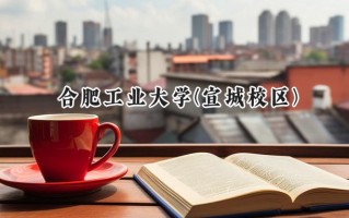 2024合肥工业大学(宣城校区)录取分数线：河南最低551分