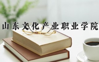 2025年山东文化产业职业学院在河南计划招生人数（附学费及专业录取分)