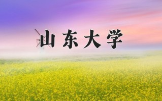 2025年山东大学在新疆计划招生人数（附学费及专业录取分)