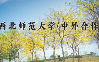 2025年西北师范大学(中外合作)在重庆计划招生人数（附学费及专业录取分)
