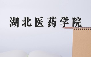 2025年湖北医药学院在新疆计划招生人数（附学费及专业录取分)