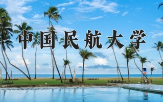 2025年中国民航大学在四川计划招生人数（附学费及专业录取分)