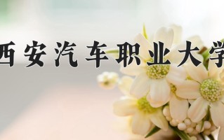 2025年西安汽车职业大学在四川计划招生人数（附学费及专业录取分)