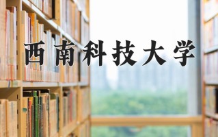 2025年西南科技大学在河南计划招生人数（附学费及专业录取分)