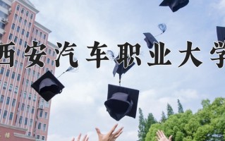 2025年西安汽车职业大学在新疆计划招生人数（附学费及专业录取分)