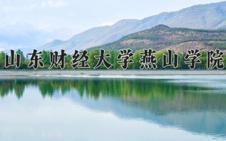 山东财经大学燕山学院王牌专业有哪些？附2025最新王牌专业排名一览表