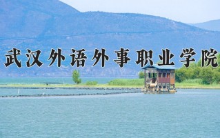 2025年武汉外语外事职业学院在四川计划招生人数（附学费及专业录取分)