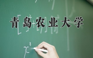2025年青岛农业大学在河南计划招生人数（附学费及专业录取分)