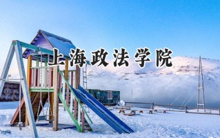 上海政法学院2024在内蒙古录取分数线是多少？最低493分/最高578分