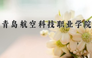 2025年青岛航空科技职业学院在河北计划招生人数（附学费及专业录取分)