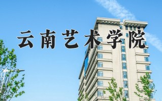 2025年云南艺术学院在河南计划招生人数（附学费及专业录取分)