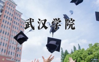 2025年武汉学院在新疆计划招生人数（附学费及专业录取分)