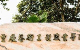 2024年重庆艺术工程职业学院录取分数线，河北最低262分