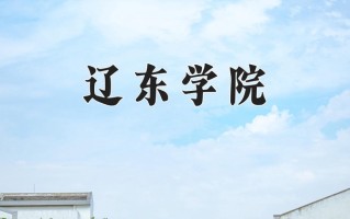 2025年辽东学院在四川计划招生人数（附学费及专业录取分)