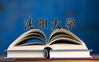 2025年沈阳大学在新疆计划招生人数（附学费及专业录取分)
