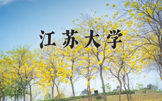 2025年江苏大学在新疆计划招生人数（附学费及专业录取分)