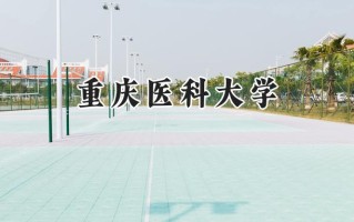 2024重庆医科大学录取分数线：新疆最低514分
