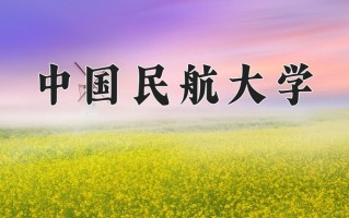 2025年中国民航大学在河南计划招生人数（附学费及专业录取分)