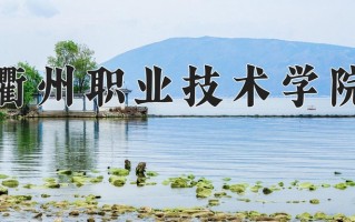 2025年衢州职业技术学院在四川计划招生人数（附学费及专业录取分)