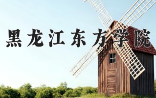 2025年黑龙江东方学院在新疆计划招生人数（附学费及专业录取分)