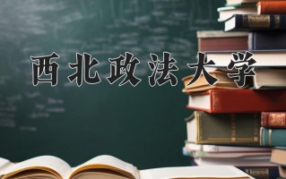 2025年西北政法大学在河南计划招生人数（附学费及专业录取分)