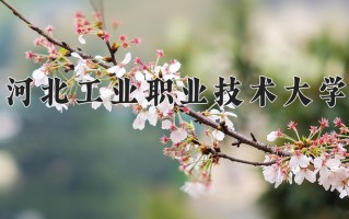 工业互联网技术学费多少？附河南2024年招生的大学