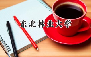 东北林业大学2024在新疆录取分数线是多少？最低430分/最高477分