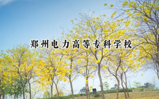 2024郑州电力高等专科学校录取分数线：陕西最低387分