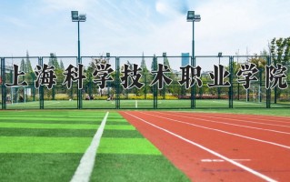 2025年上海科学技术职业学院在河南计划招生人数（附学费及专业录取分)