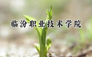 临汾职业技术学院2024在江苏录取分数线是多少？最低255分/最高375分