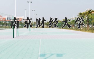 2025年南京财经大学在四川计划招生人数（附学费及专业录取分)