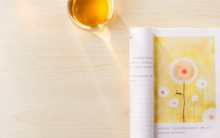 安全科学与工程类专业重庆录取分数线：2025最低525分