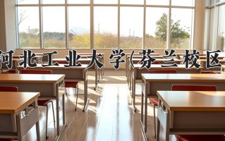 2025年河北工业大学(芬兰校区)在河北计划招生人数（附学费及专业录取分)
