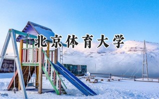 北京体育大学2024在山东录取分数线是多少？最低529分/最高600分