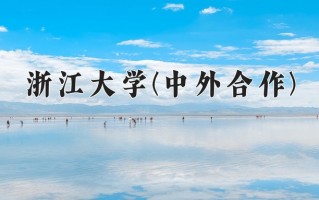 2025年浙江大学(中外合作)在河北计划招生人数（附学费及专业录取分)