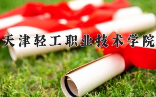 2025年天津轻工职业技术学院在河南计划招生人数（附学费及专业录取分)